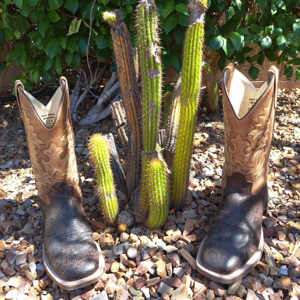 👢Old West Boots🌵🐎